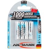 1000mAh NiMh Professional, Akku