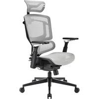 Sharkoon Bürostuhl OfficePal C50M grau