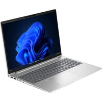 HP EliteBook 6 G2a (E02FSET), Notebook silber, AMD Ryzen 5 230, AMD Radeon 760M, 16 GB LPDDR5X, 512 GB (512 GB SSD), Windows 11 Pro