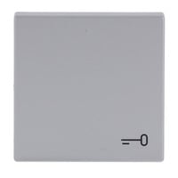 Busch-Jaeger Wippe mit Aufdruck aluminium, Retail