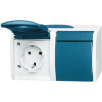 Busch-Jaeger Schutzkontakt-Steckdose 2-fach waagerecht, Aufputz, mit Durchschleiffunktion, 16 Ampere, 250 Volt blau, Retail