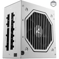 Sharkoon Rebel P20 1200 White, PC-Netzteil weiß, 1x 12 Pin High Power Anschluss, 4x PCIe, Kabelmanagement, 1200 Watt