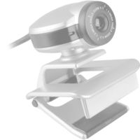 999 Games BRIO 305, Webcam graphit, 1080p